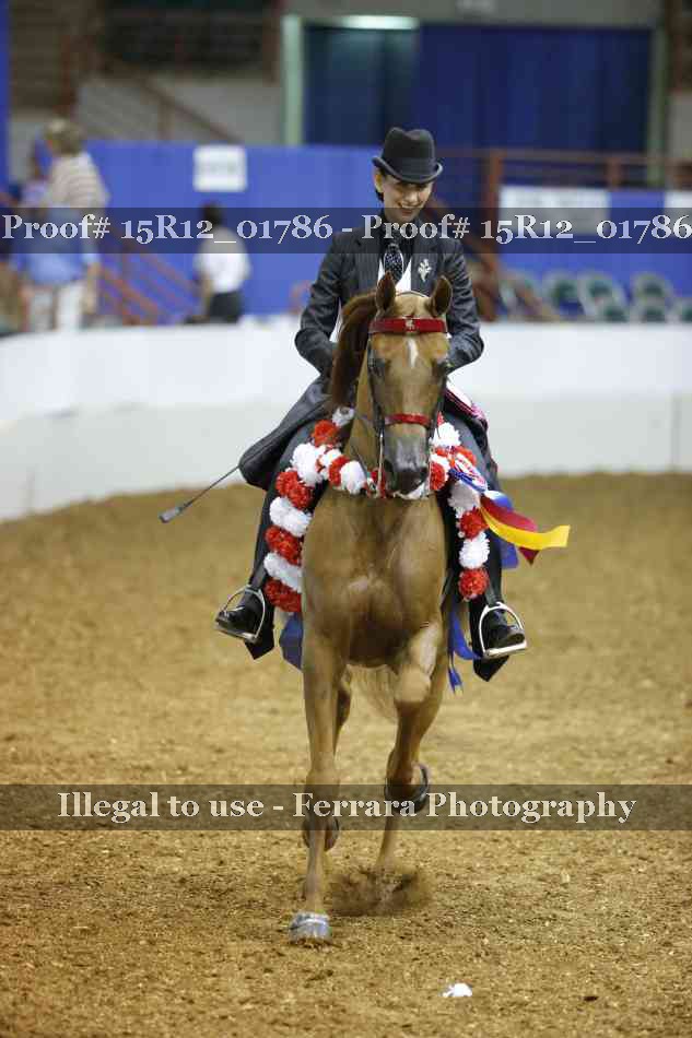 Proof Number 15R12_01786