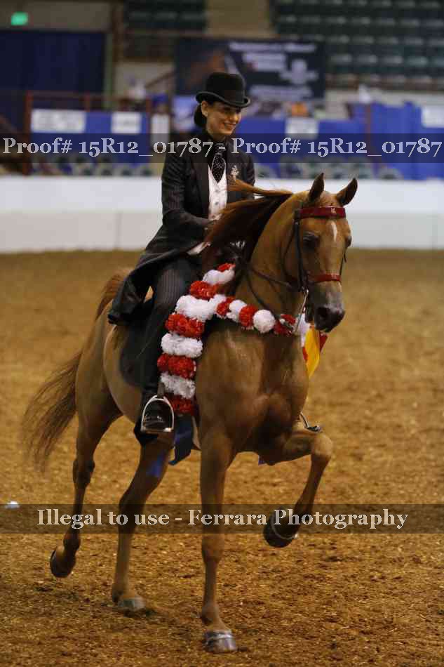 Proof Number 15R12_01787
