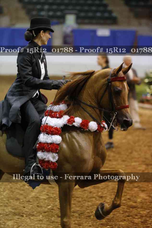 Proof Number 15R12_01788