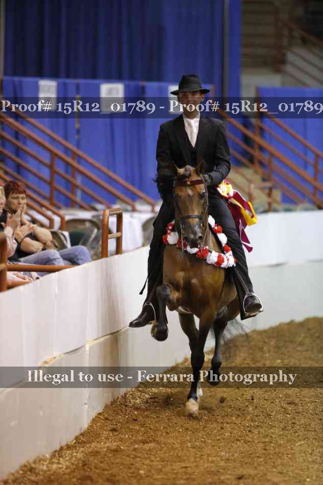 Proof Number 15R12_01789
