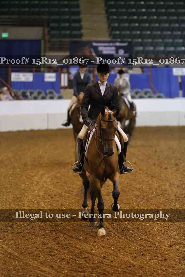 Proof Number 15R12_01867