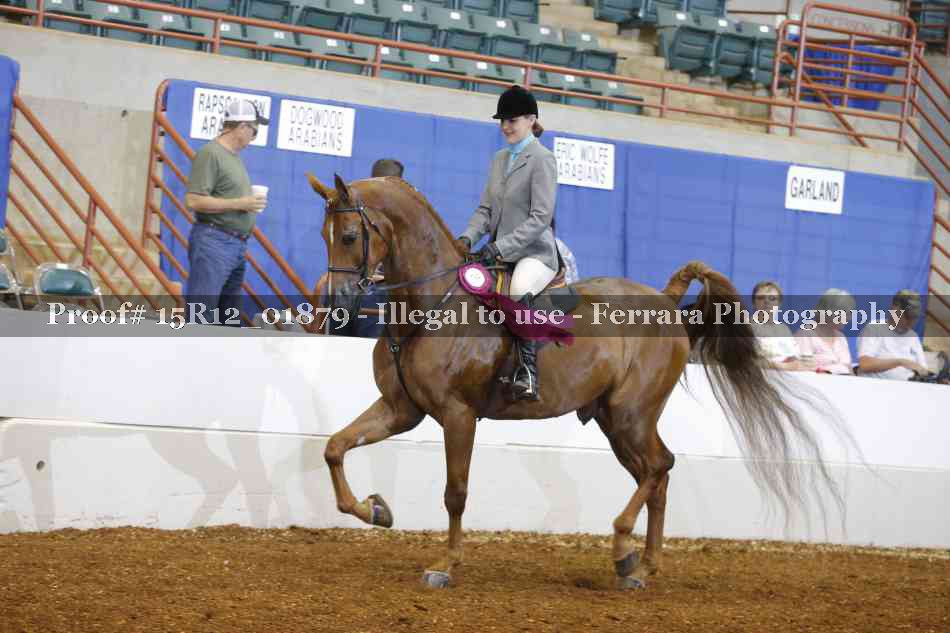 Proof Number 15R12_01879