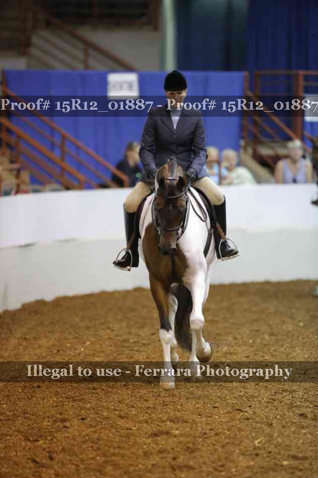 Proof Number 15R12_01887