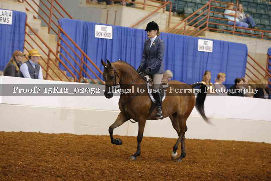 Proof Number 15R12_02052