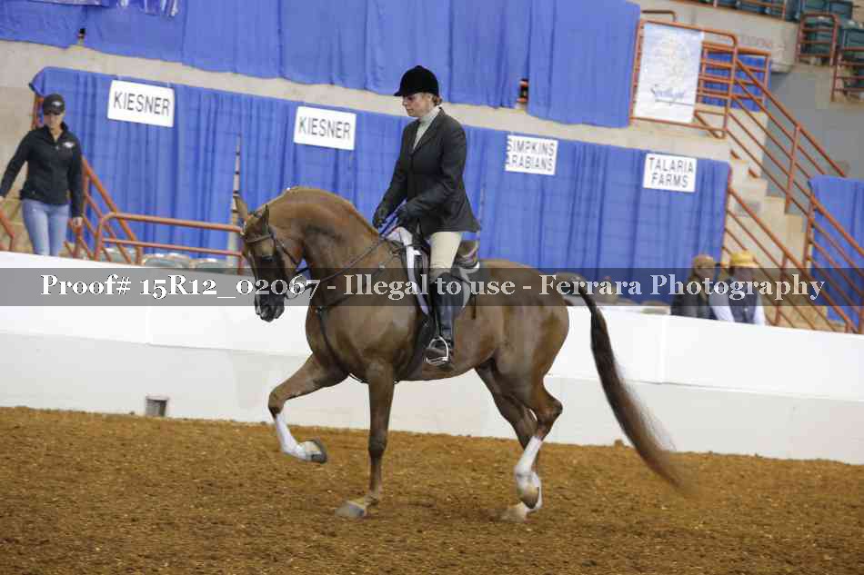 Proof Number 15R12_02067