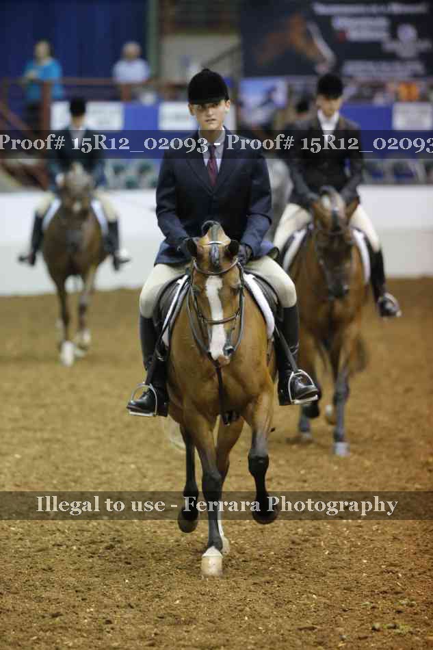 Proof Number 15R12_02093