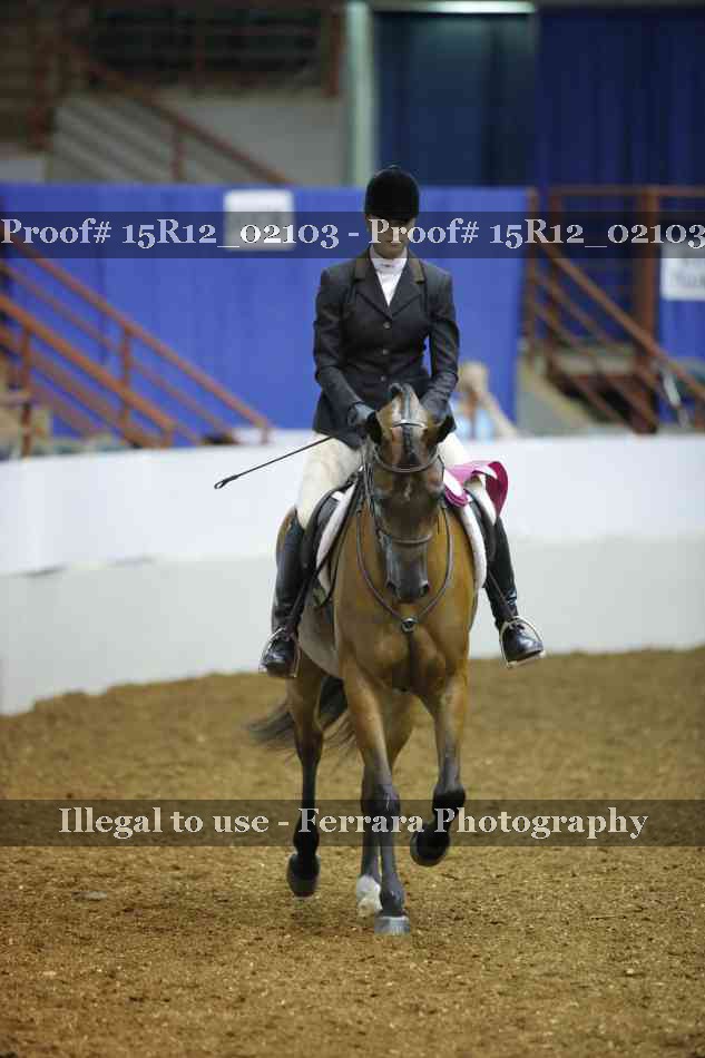 Proof Number 15R12_02103