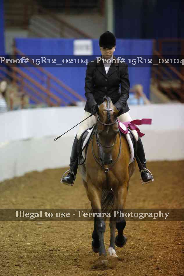 Proof Number 15R12_02104