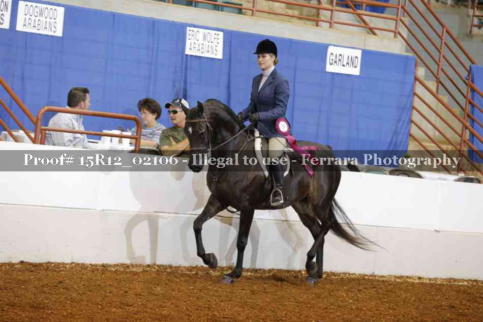 Proof Number 15R12_02106