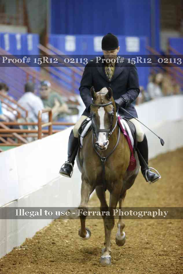 Proof Number 15R12_02113