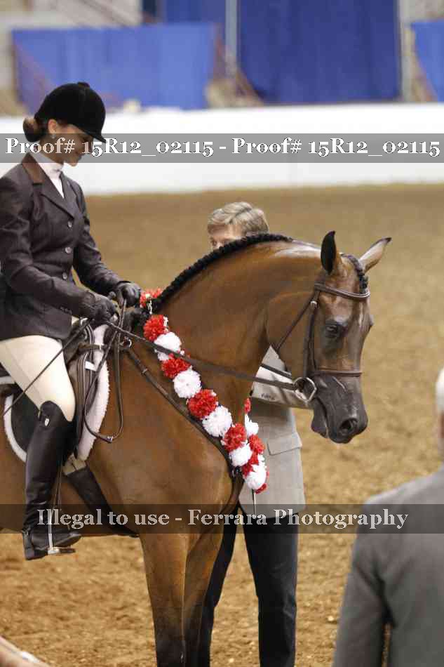 Proof Number 15R12_02115
