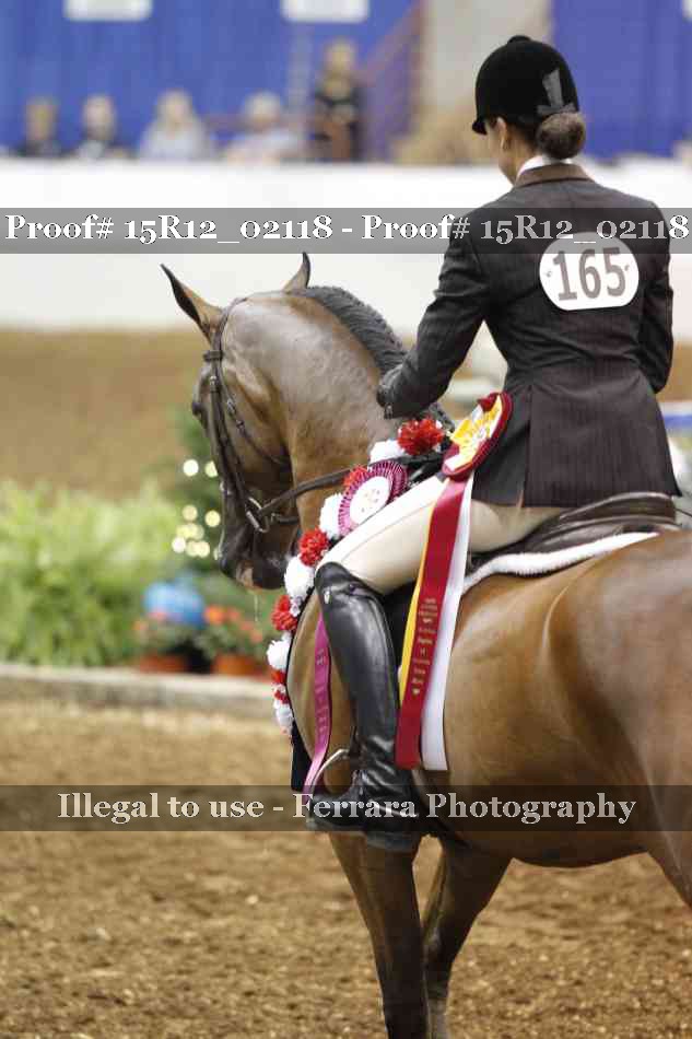 Proof Number 15R12_02118