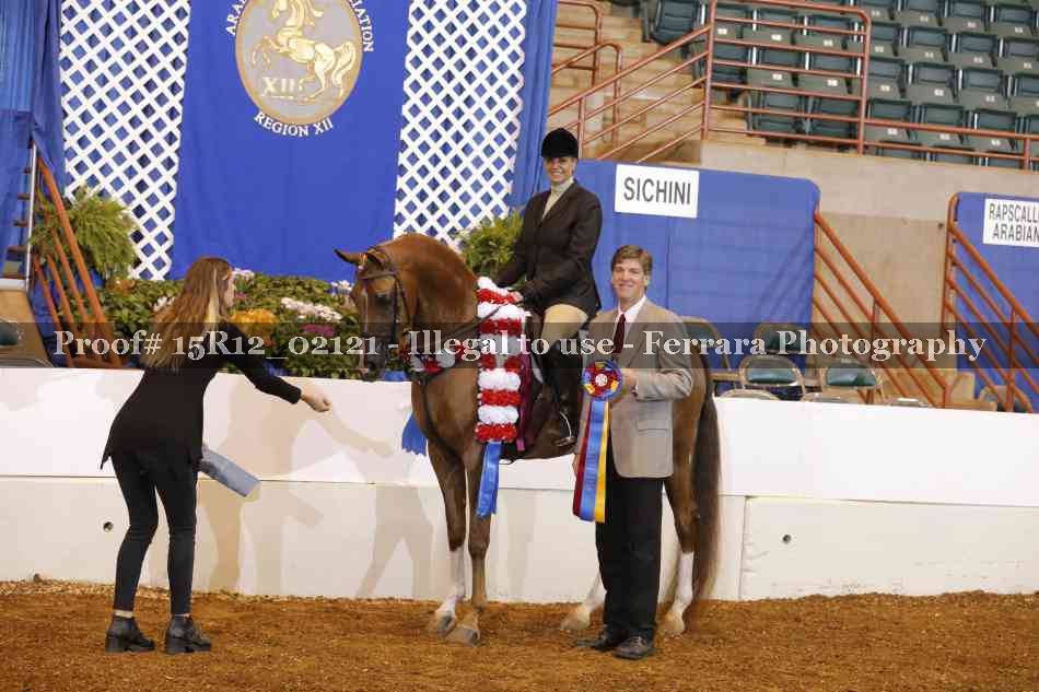 Proof Number 15R12_02121