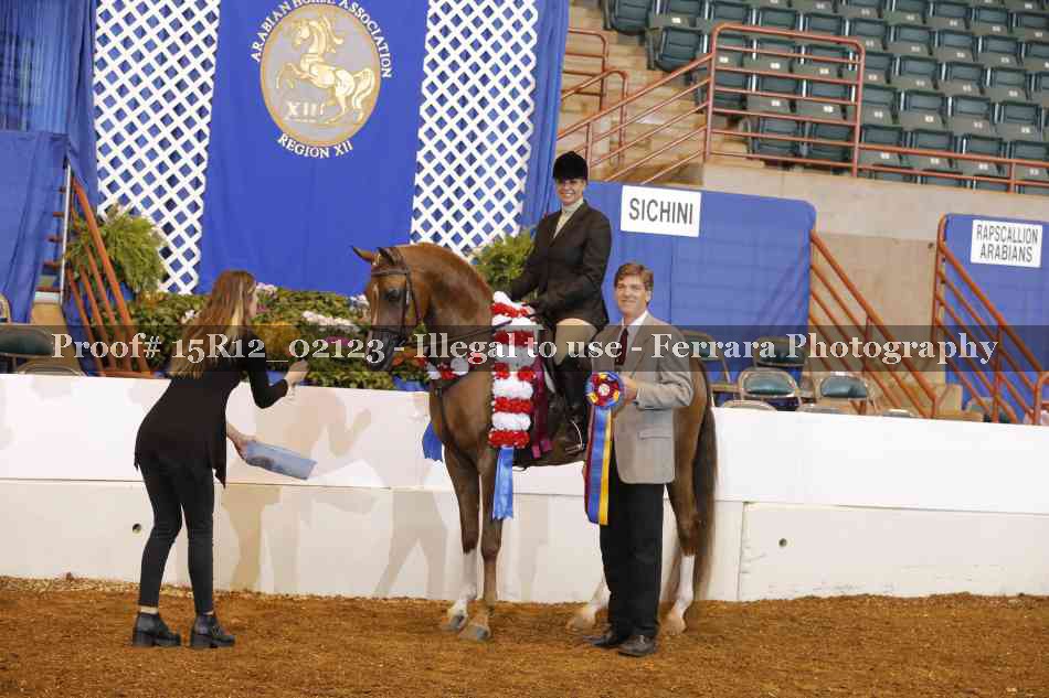 Proof Number 15R12_02123