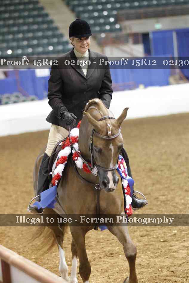 Proof Number 15R12_02130