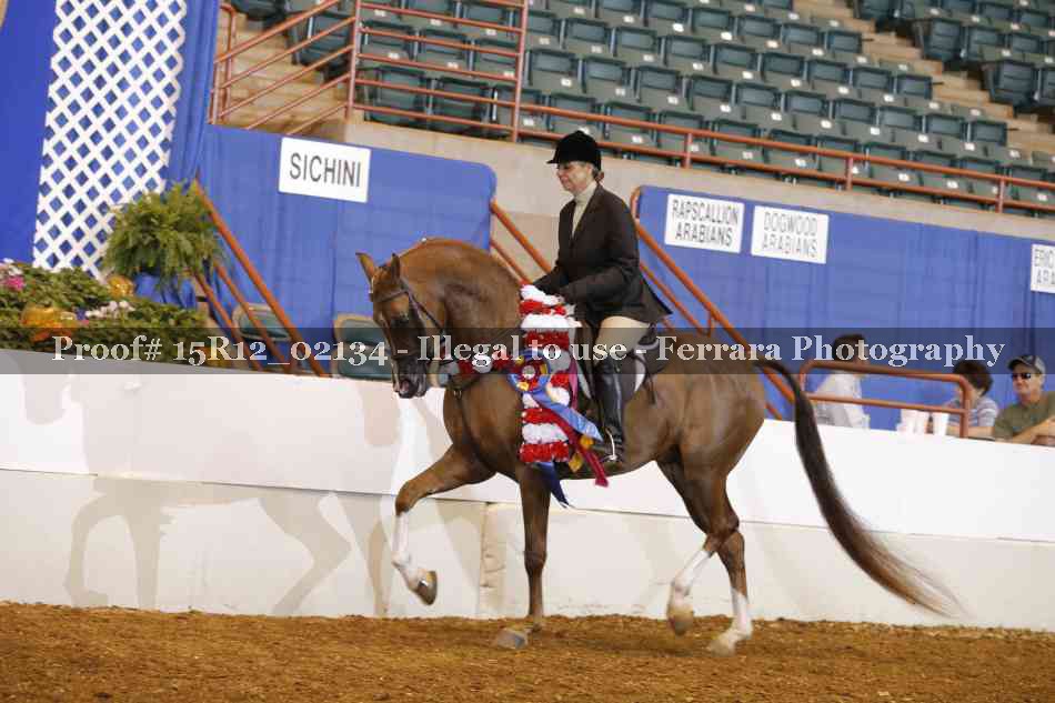 Proof Number 15R12_02134