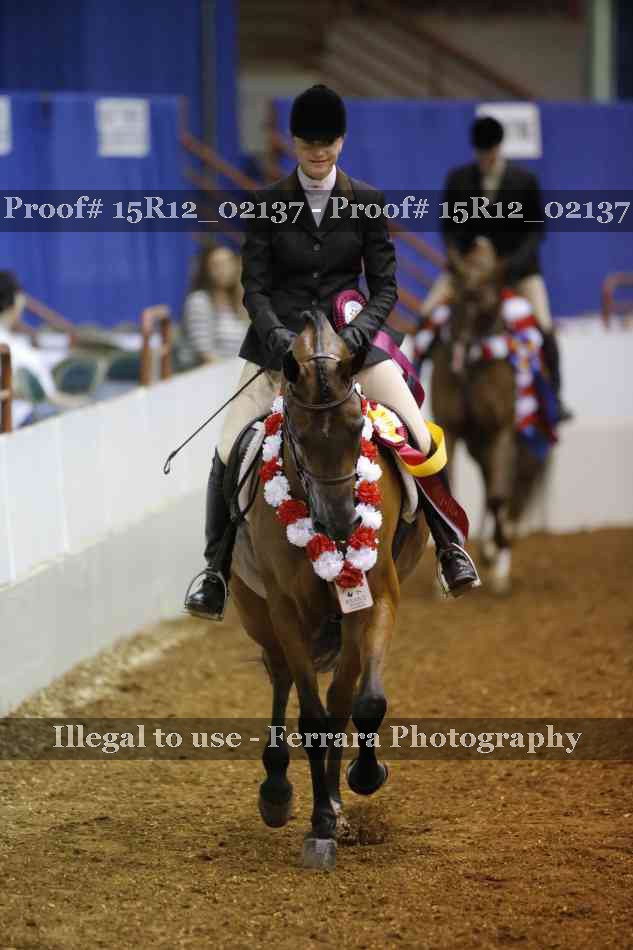 Proof Number 15R12_02137
