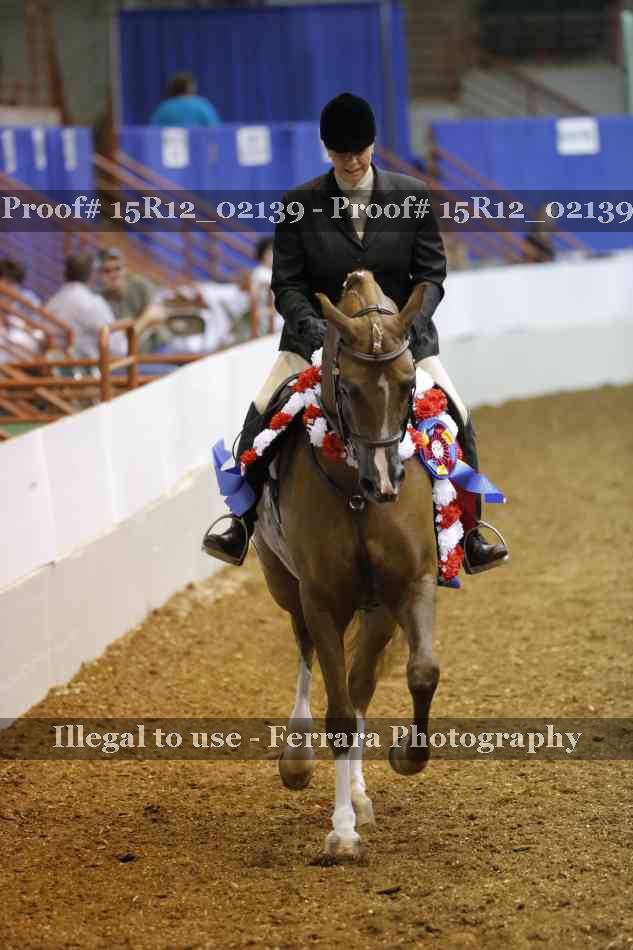 Proof Number 15R12_02139