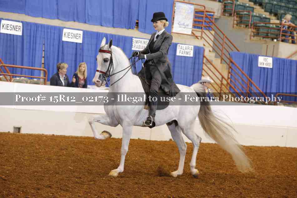 Proof Number 15R12_02173
