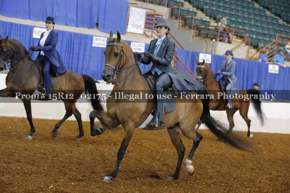 Proof Number 15R12_02175