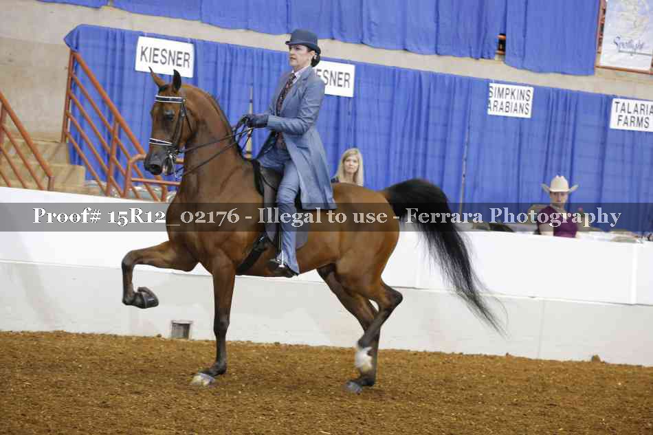 Proof Number 15R12_02176