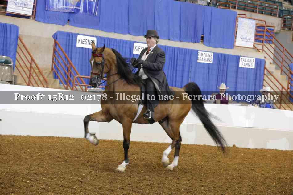 Proof Number 15R12_02178
