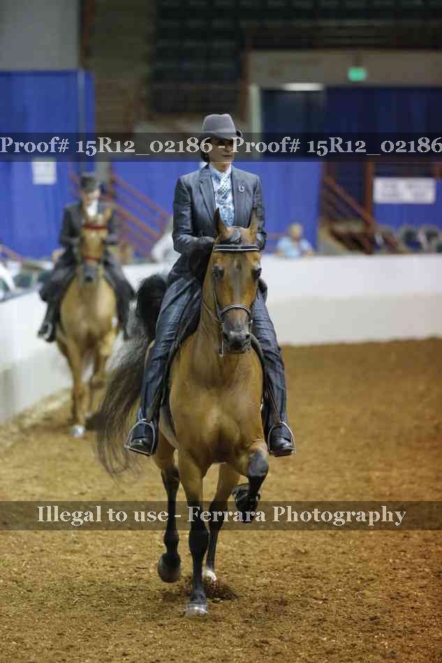 Proof Number 15R12_02186