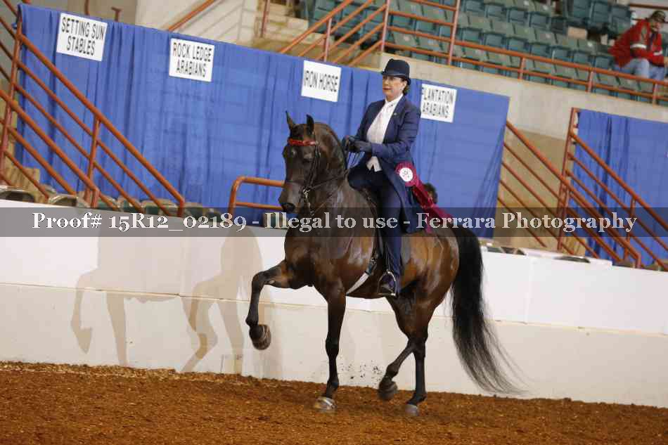 Proof Number 15R12_02189