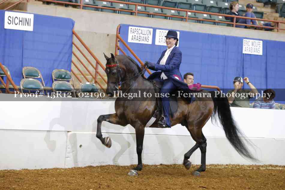 Proof Number 15R12_02190