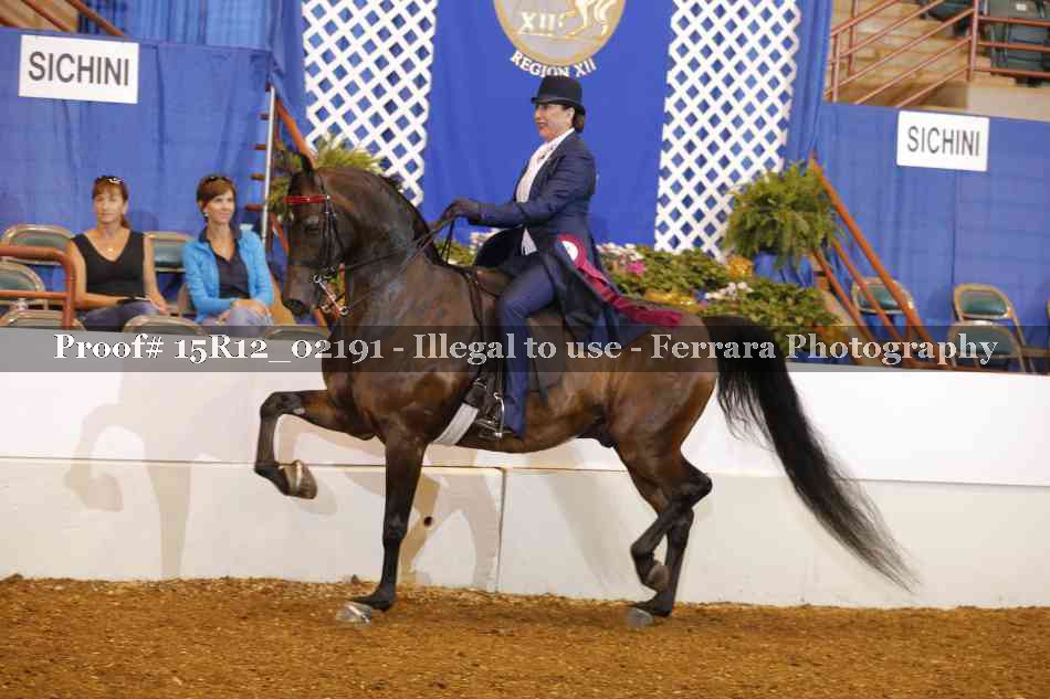 Proof Number 15R12_02191