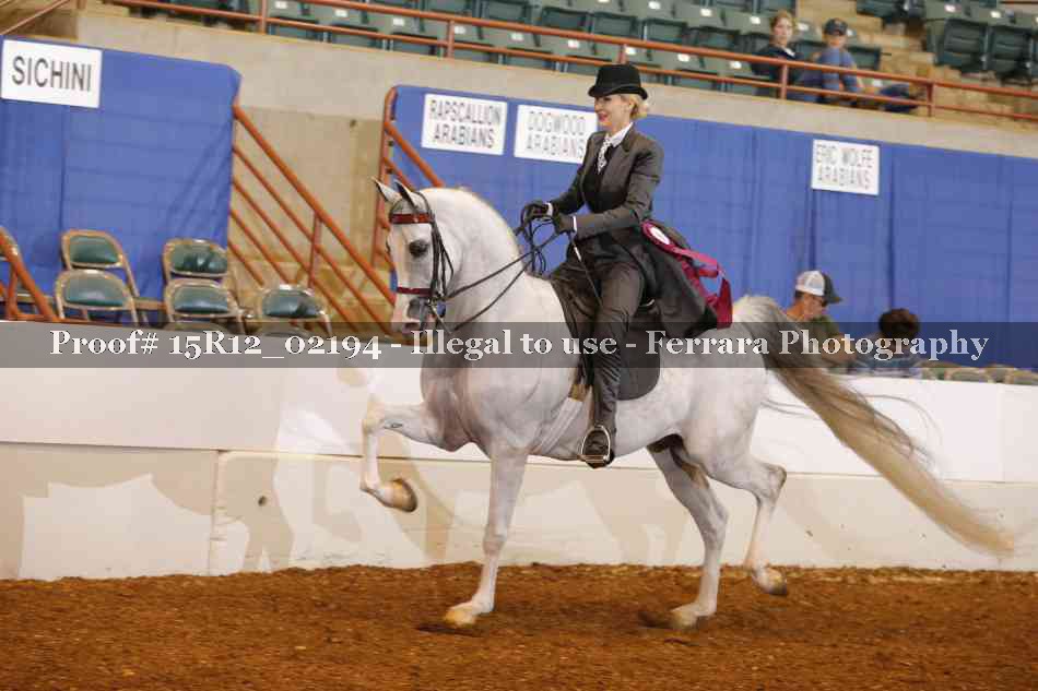 Proof Number 15R12_02194
