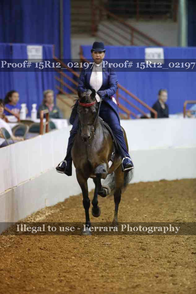 Proof Number 15R12_02197