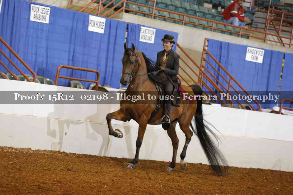 Proof Number 15R12_02198