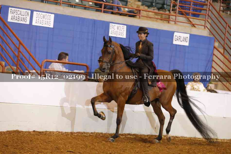 Proof Number 15R12_02199