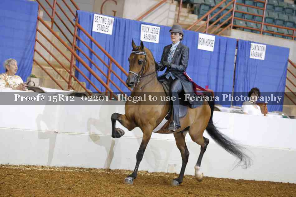Proof Number 15R12_02201