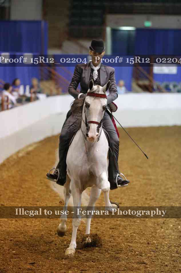 Proof Number 15R12_02204