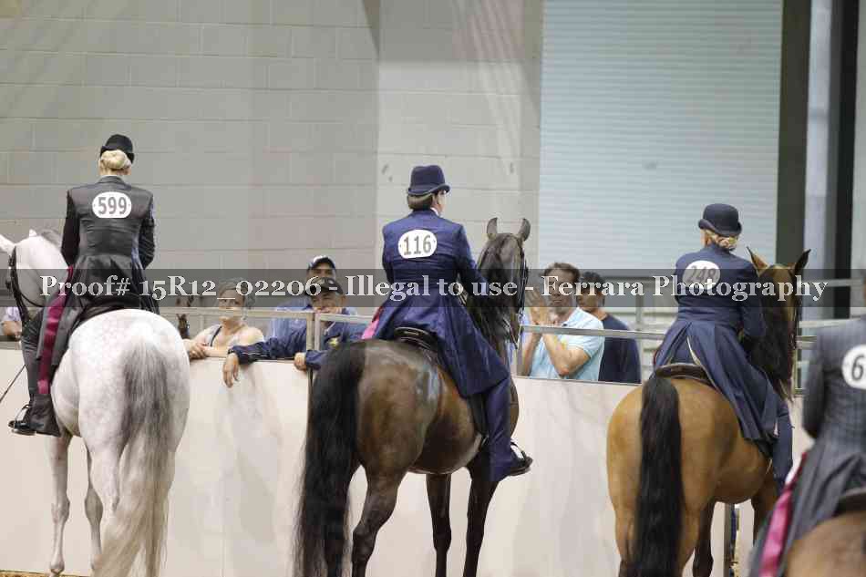 Proof Number 15R12_02206