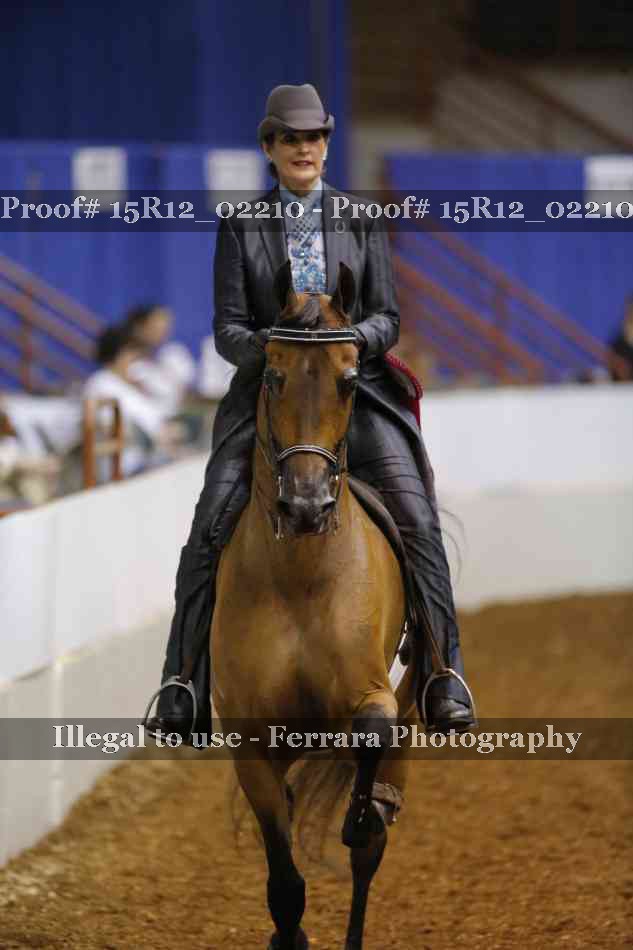 Proof Number 15R12_02210