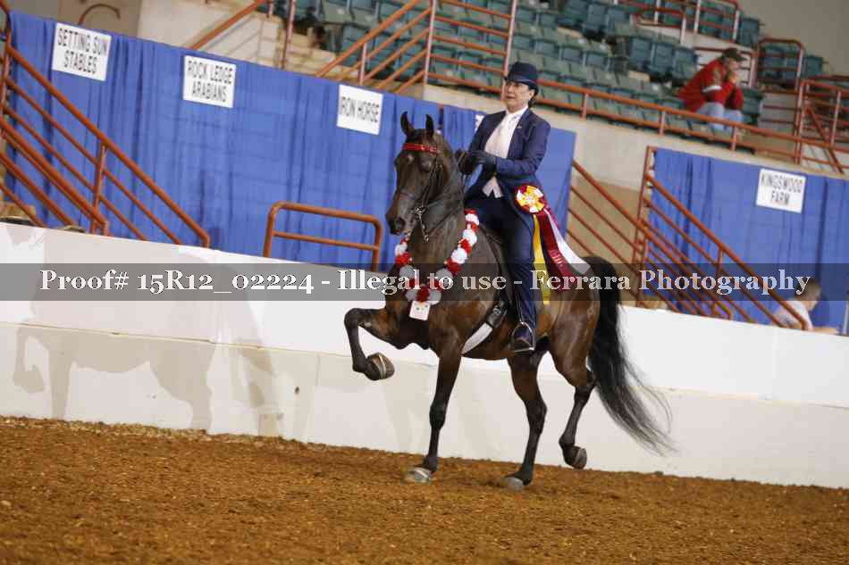 Proof Number 15R12_02224