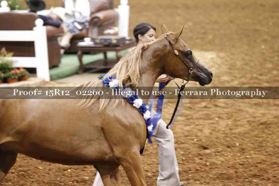 Proof Number 15R12_02260