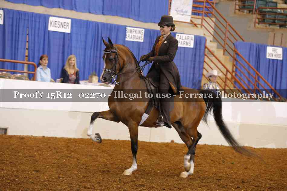 Proof Number 15R12_02270