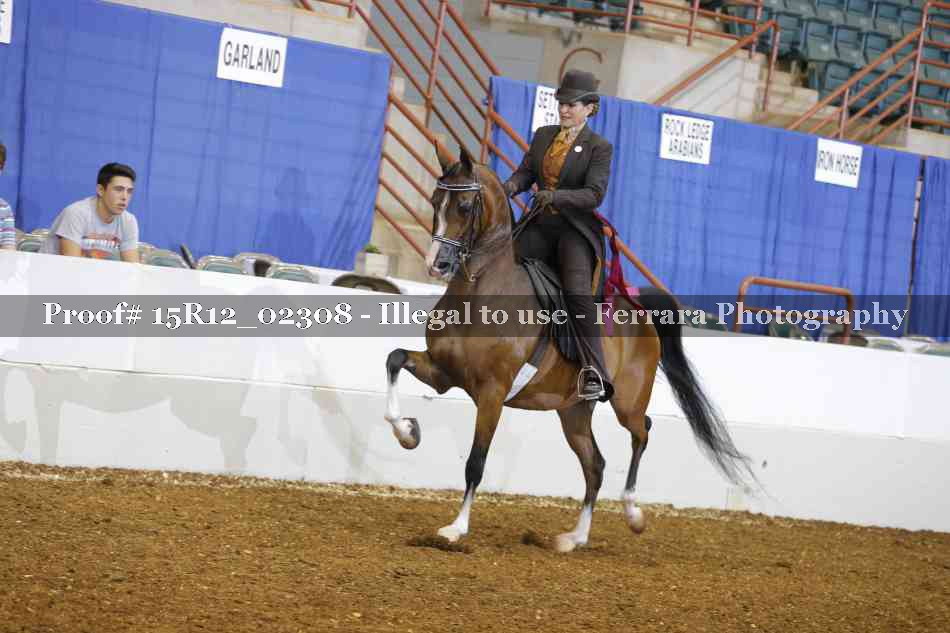Proof Number 15R12_02308