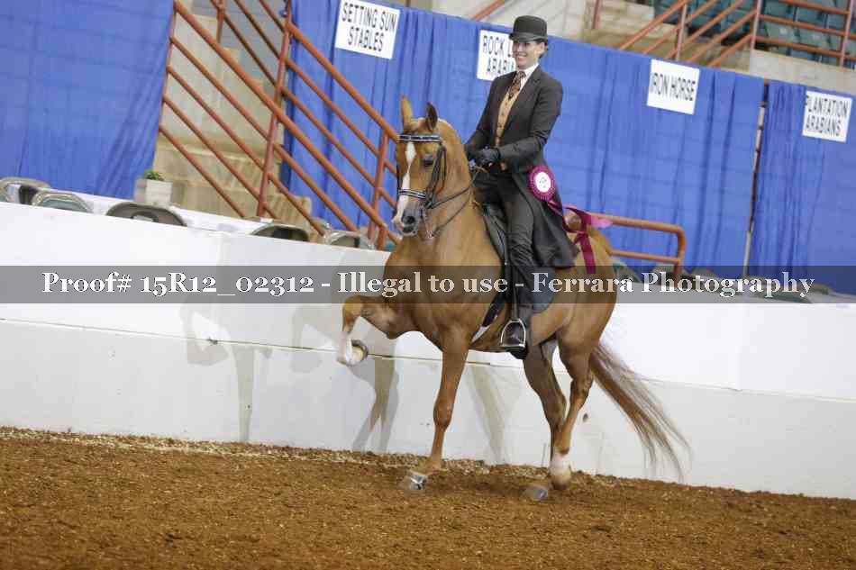 Proof Number 15R12_02312