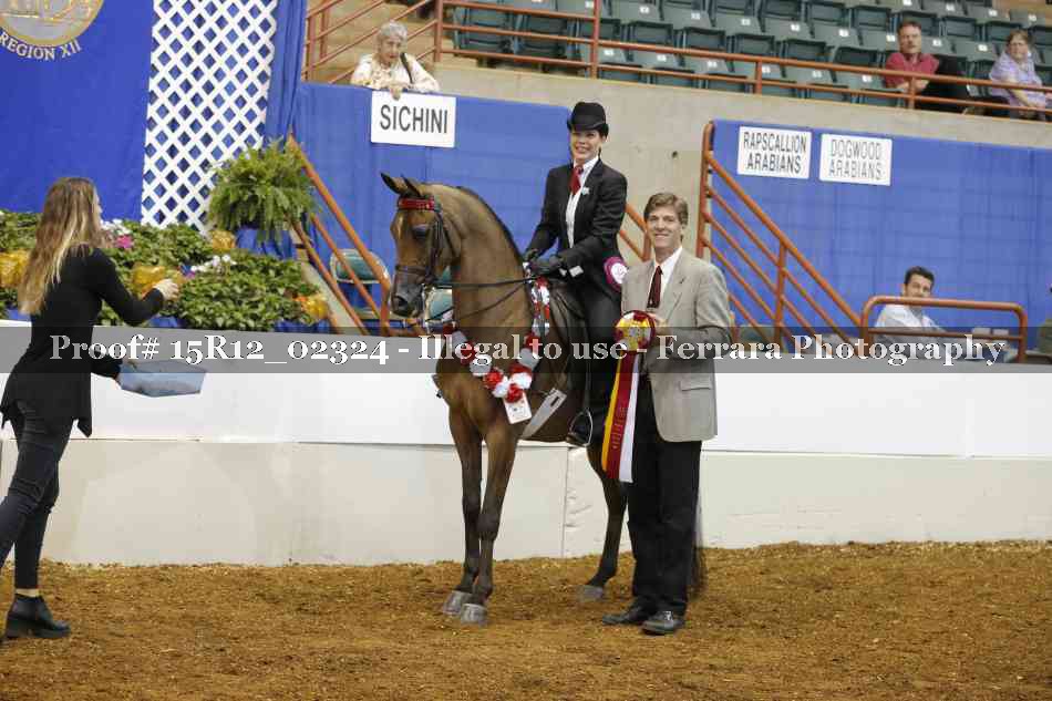 Proof Number 15R12_02324