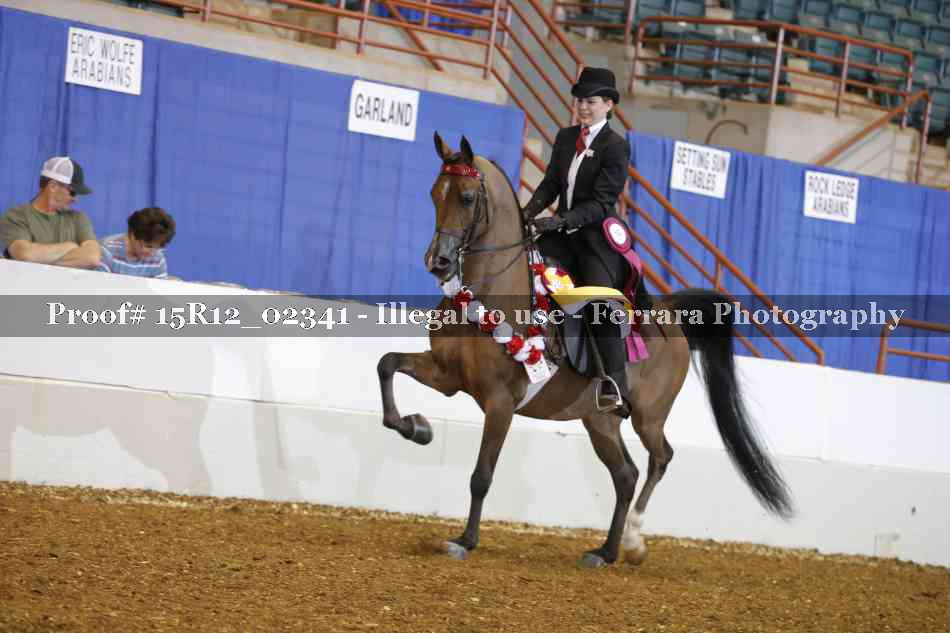 Proof Number 15R12_02341