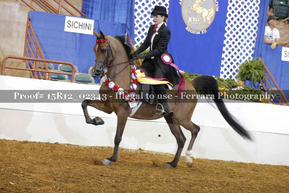 Proof Number 15R12_02343
