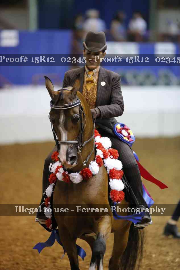Proof Number 15R12_02345