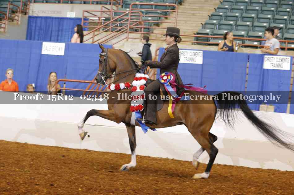 Proof Number 15R12_02348