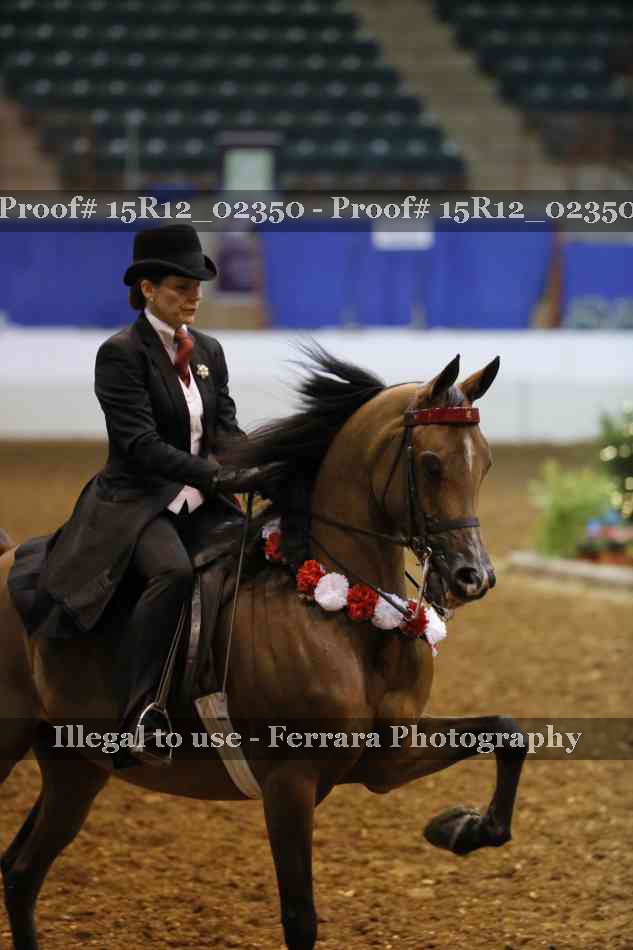 Proof Number 15R12_02350