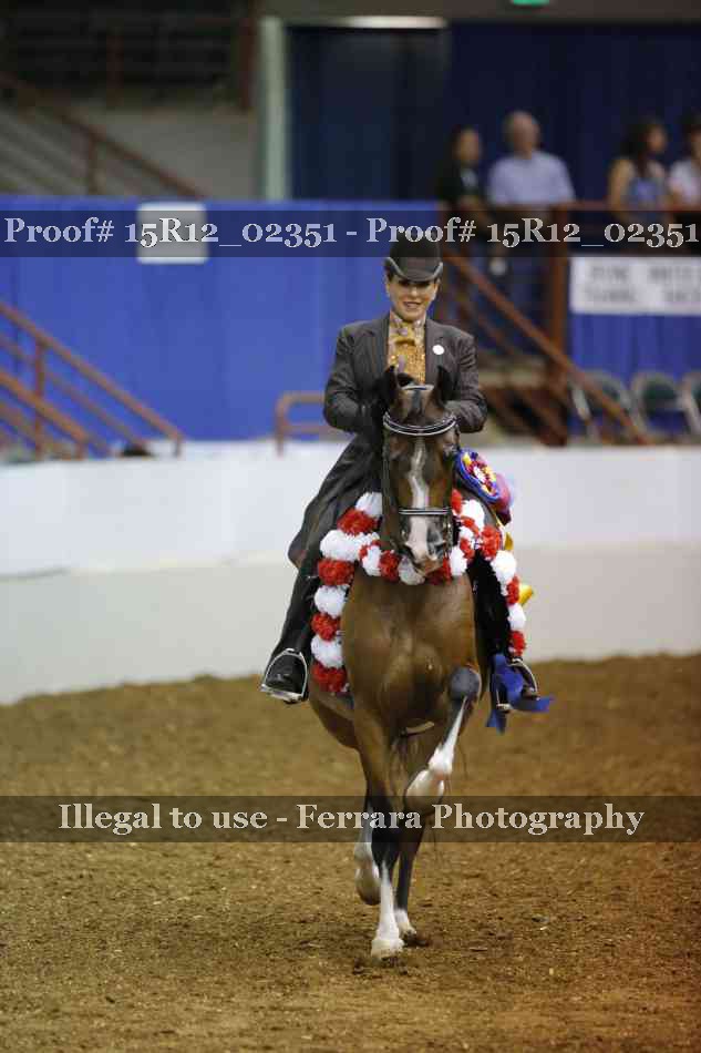 Proof Number 15R12_02351